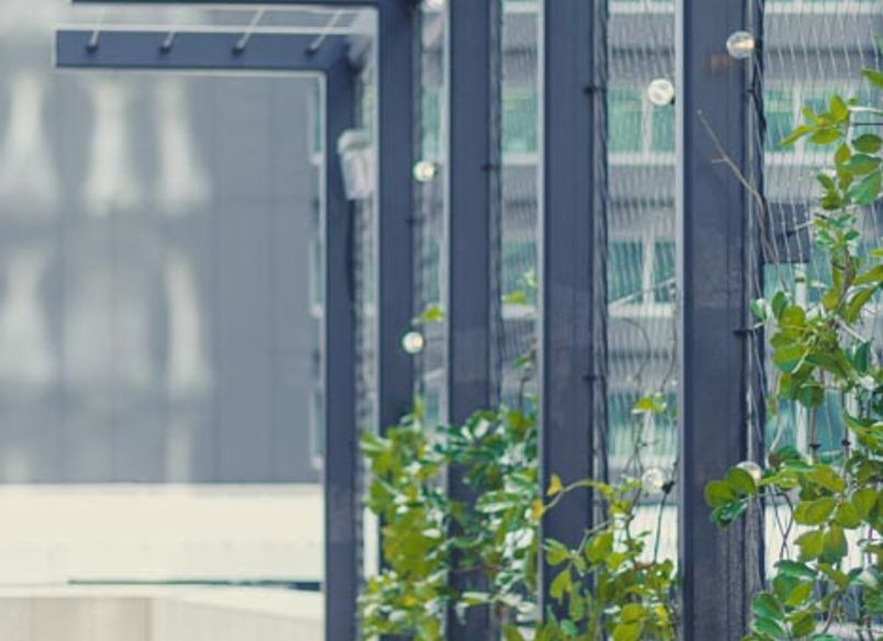 PWC Skydeck - tensile mesh foliage screen