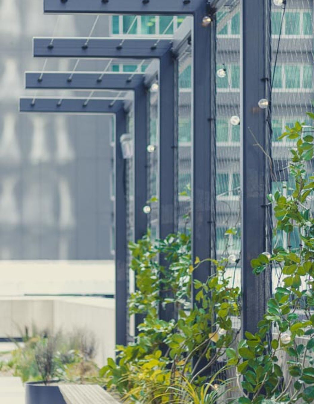 PWC Skydeck foliage screen