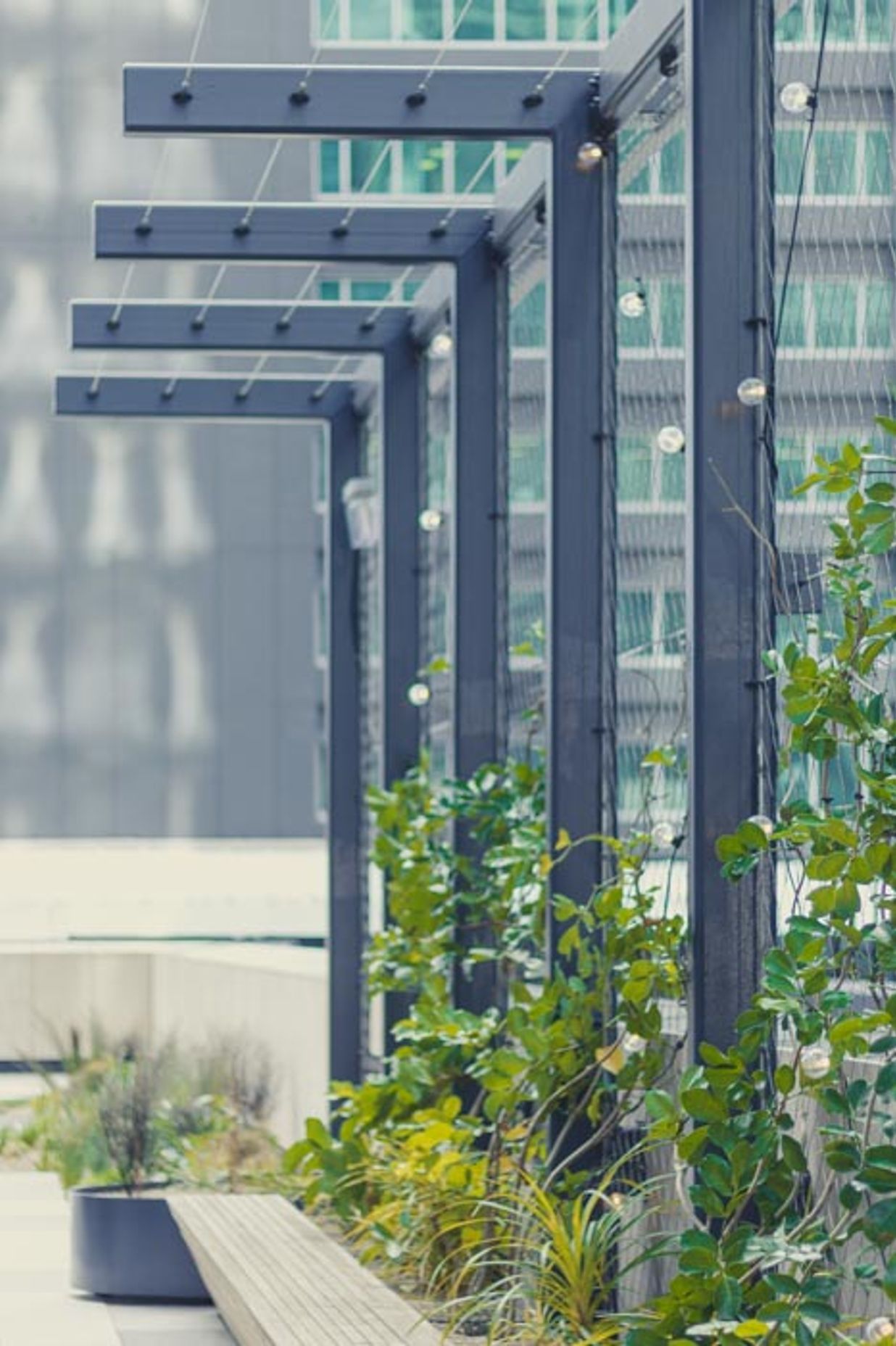 PWC Skydeck foliage screen