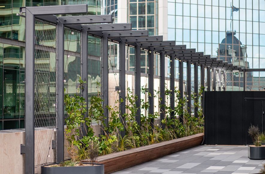 PWC Skydeck - tensile mesh foliage screen