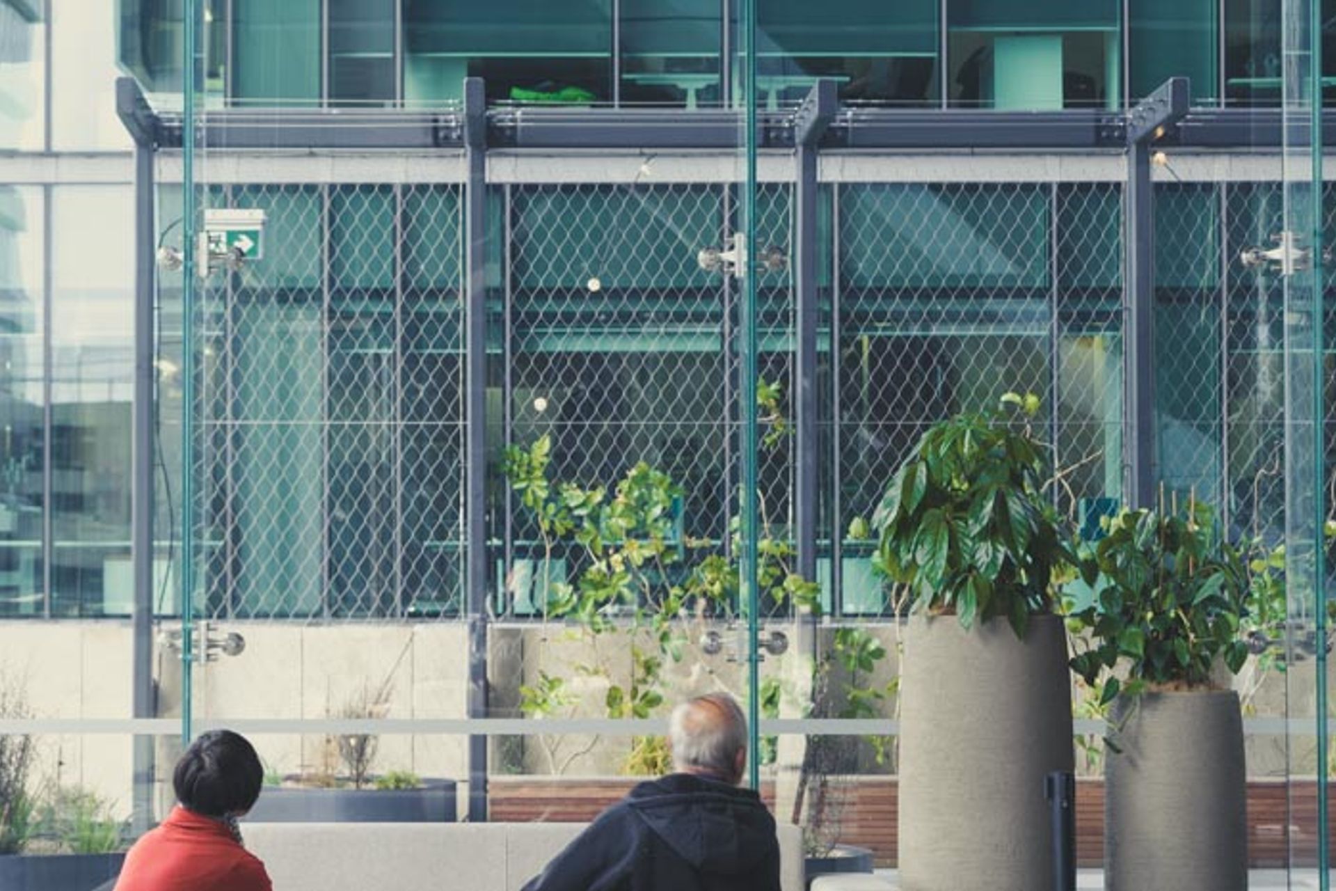PWC Skydeck foliage screen