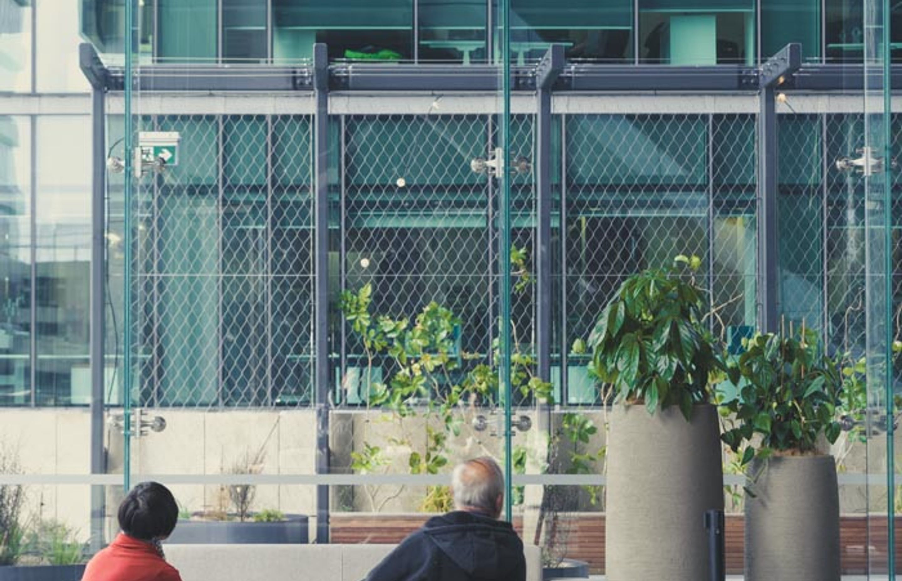 PWC Skydeck foliage screen