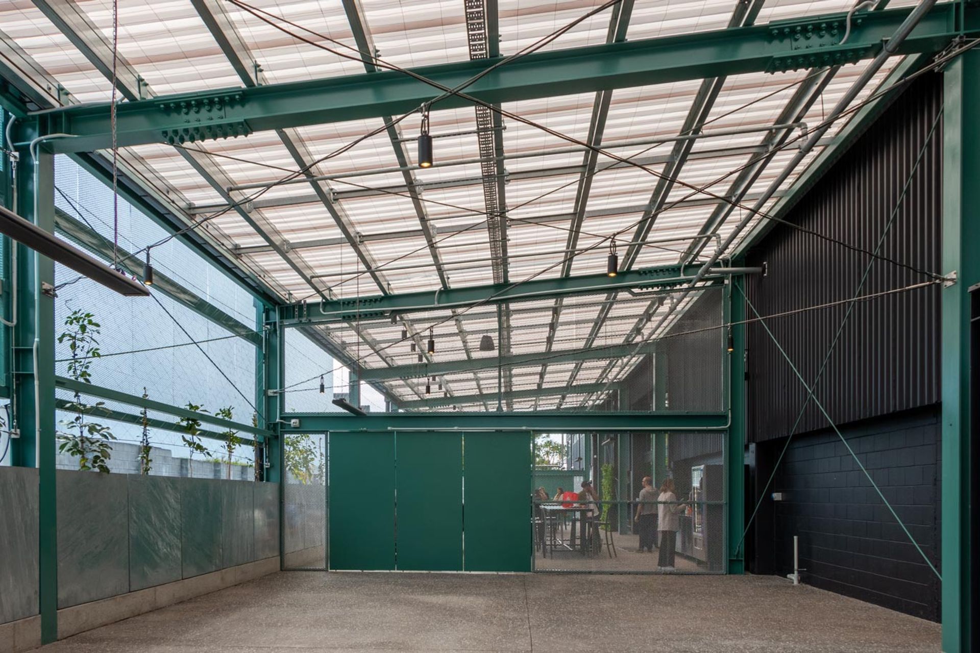 Catenary lighting - Mediaworks Auckland office space