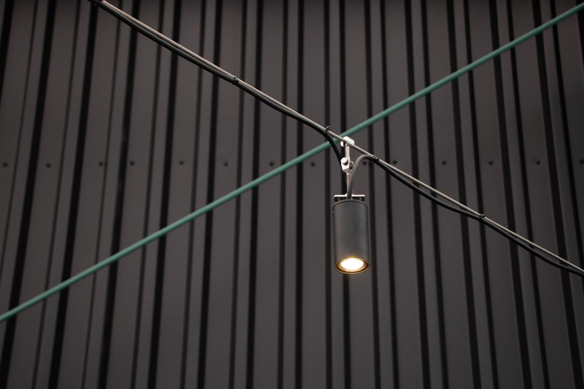 Catenary lighting - Mediaworks Auckland office space