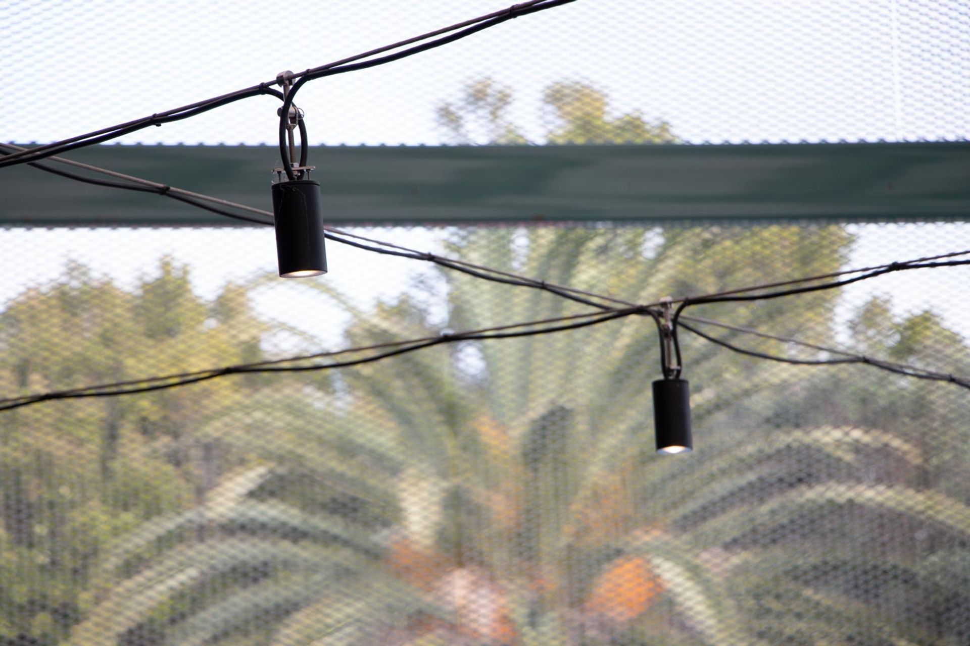 Catenary lighting - Mediaworks Auckland office space