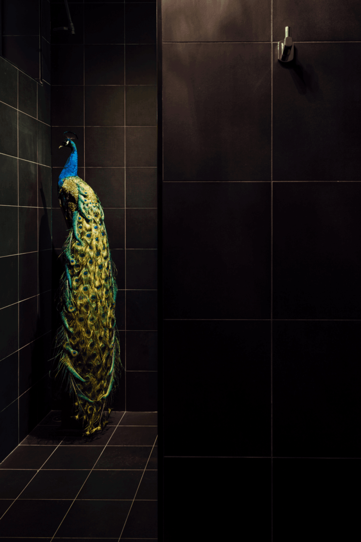 Photography: Paul Mcmahon