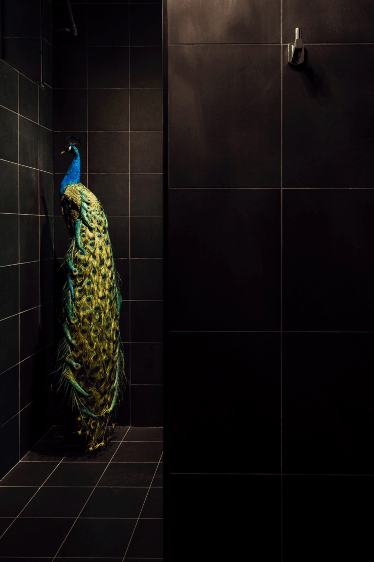 Photography: Paul Mcmahon