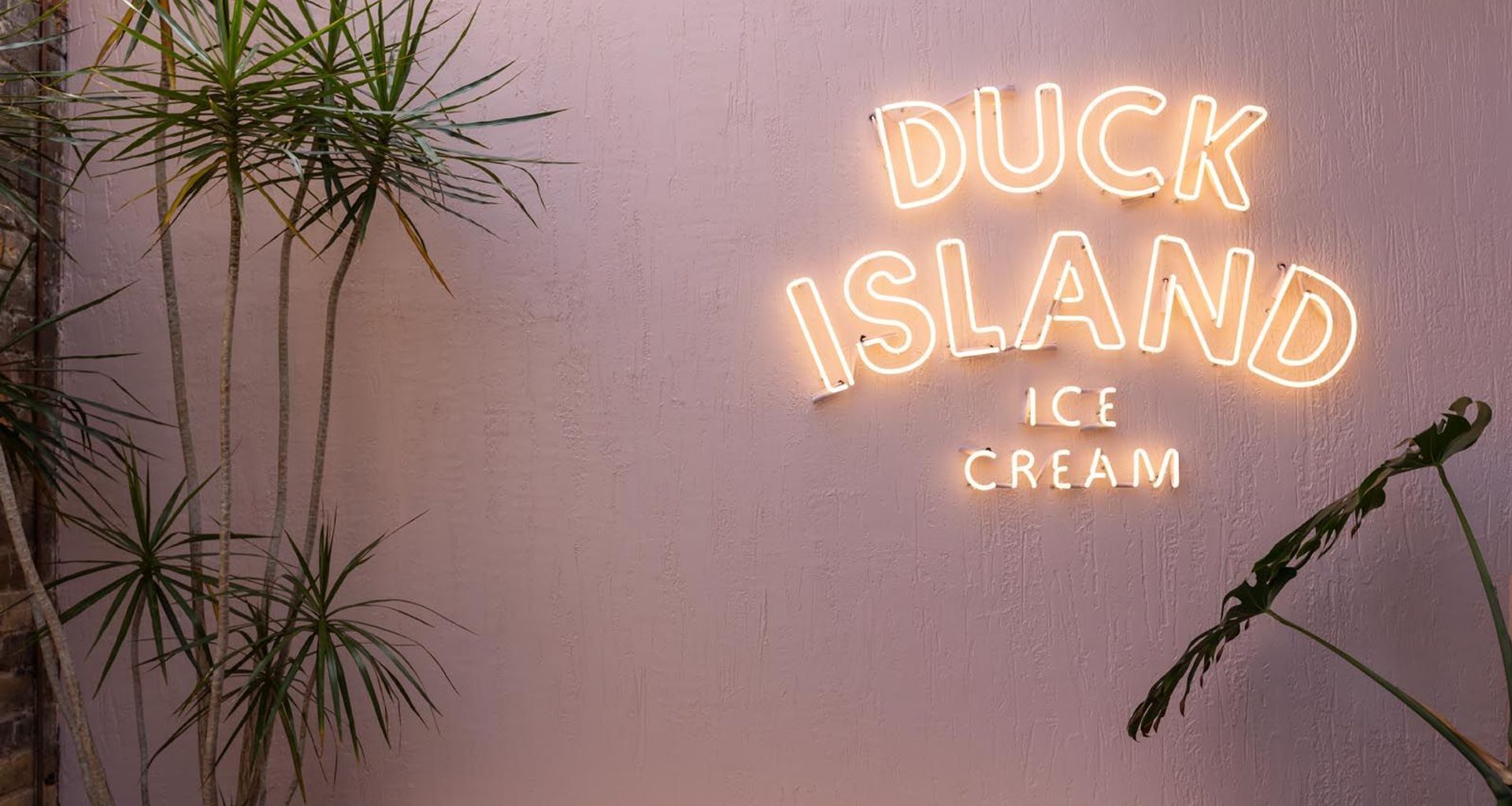 Duck Island—Newmarket banner