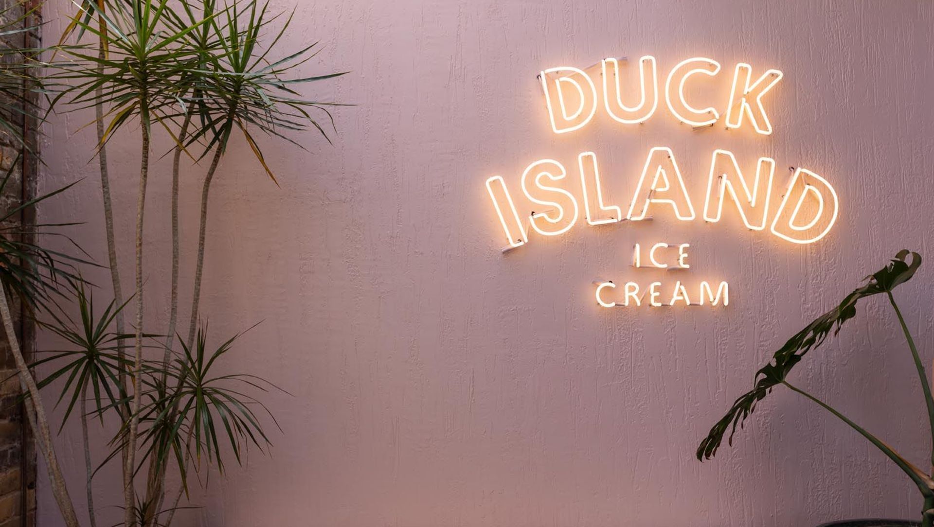 Duck Island—Newmarket banner