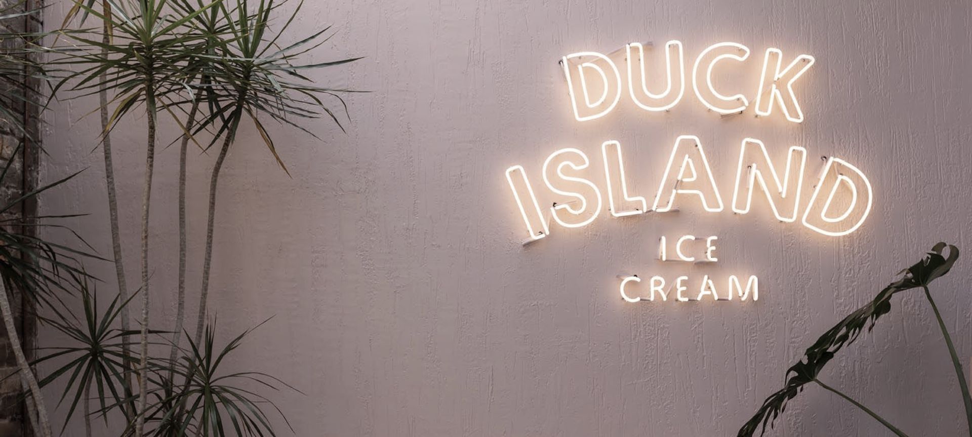 Duck Island—Newmarket banner