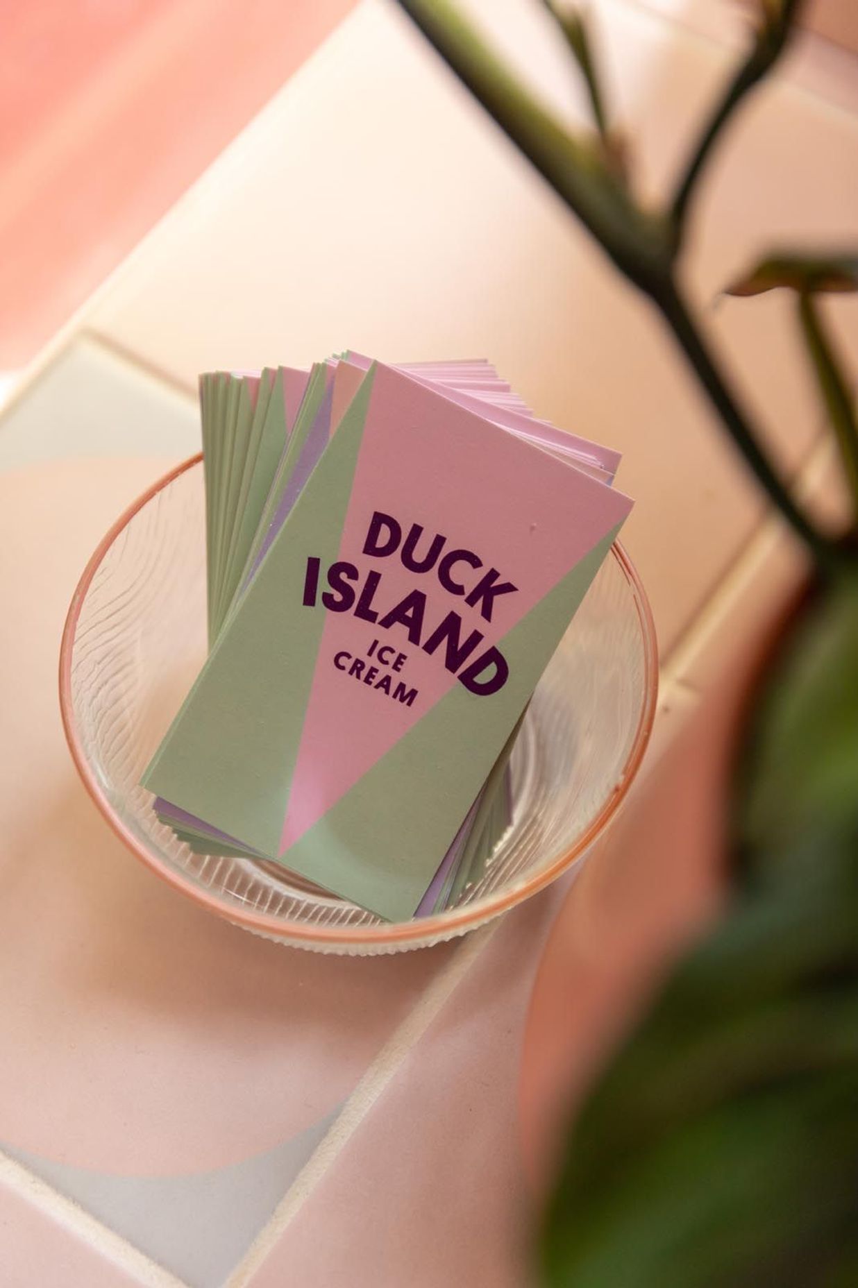 Duck Island - Newmarket
