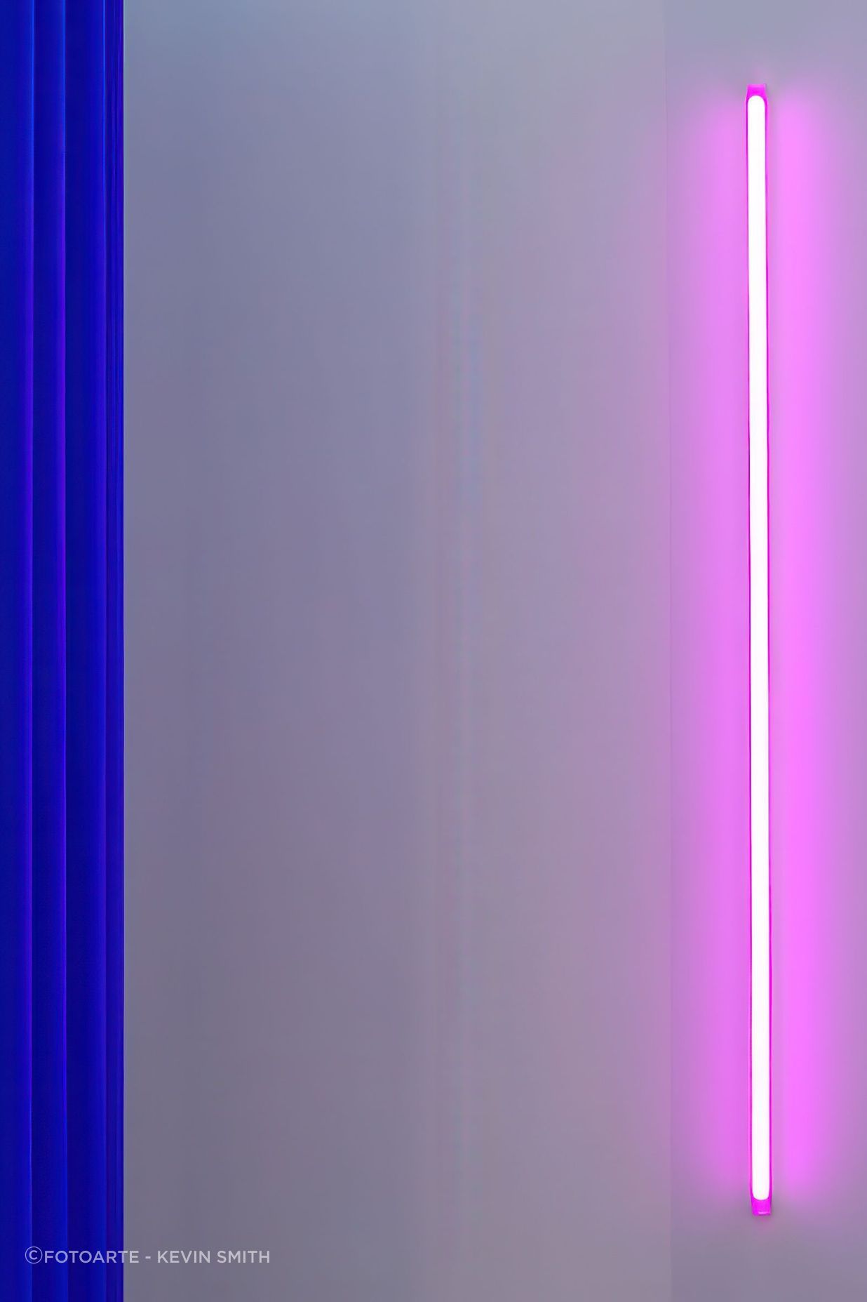 archipro-webDS47666.jpg