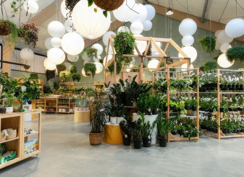 Kings Plant Barn Store Fit Out