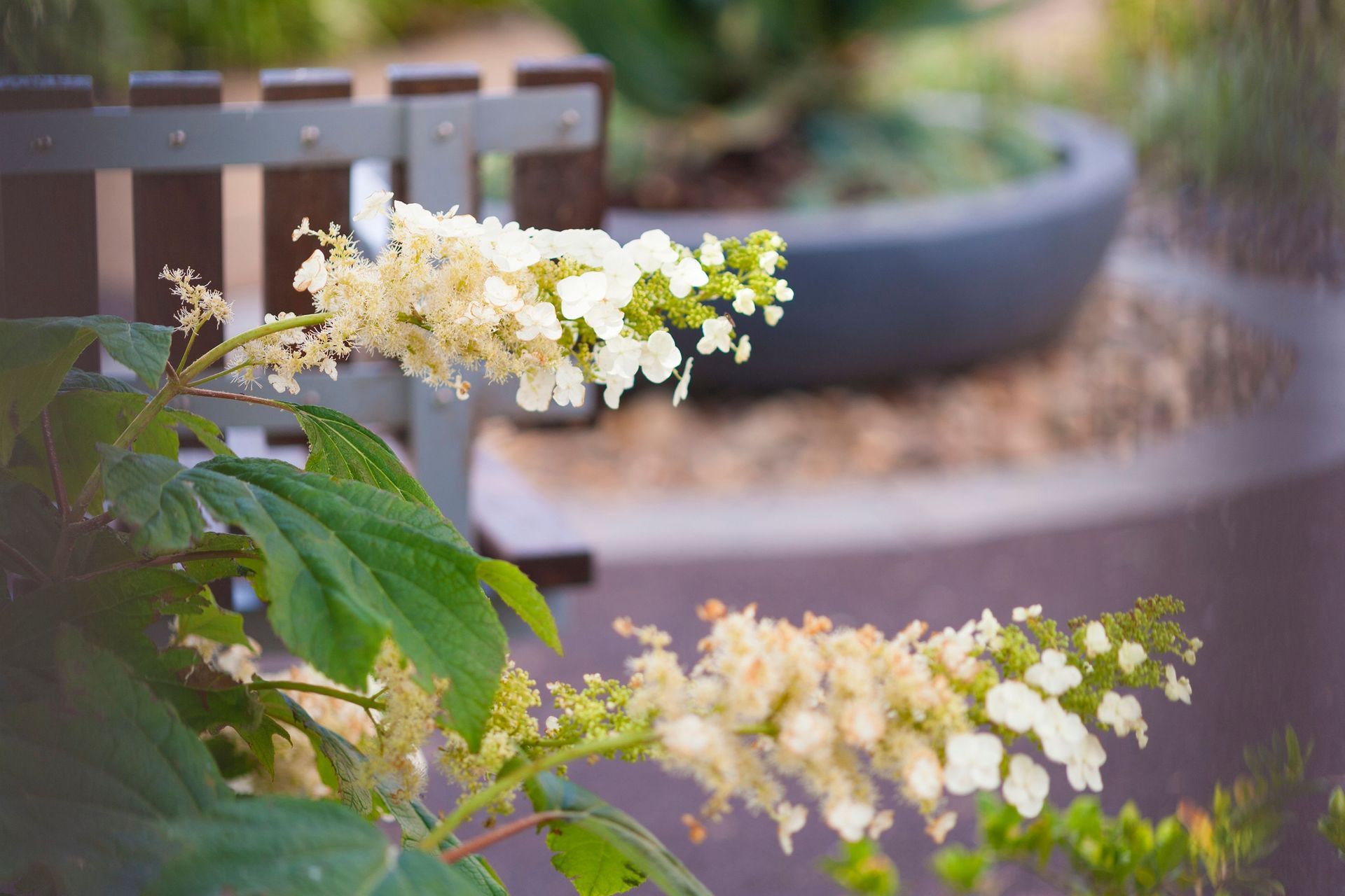 Photography: Paolo Benini