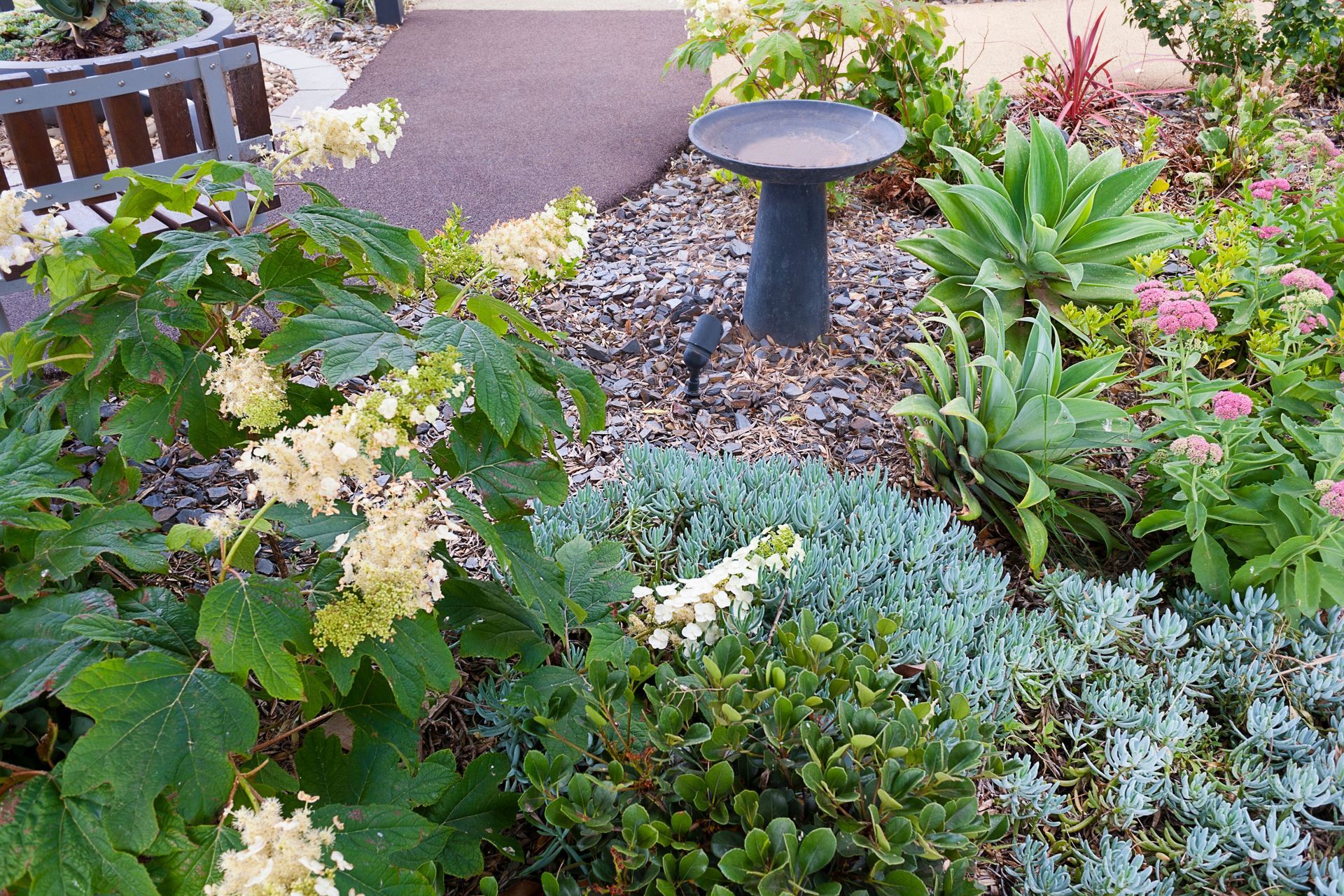 Photography: Paolo Benini