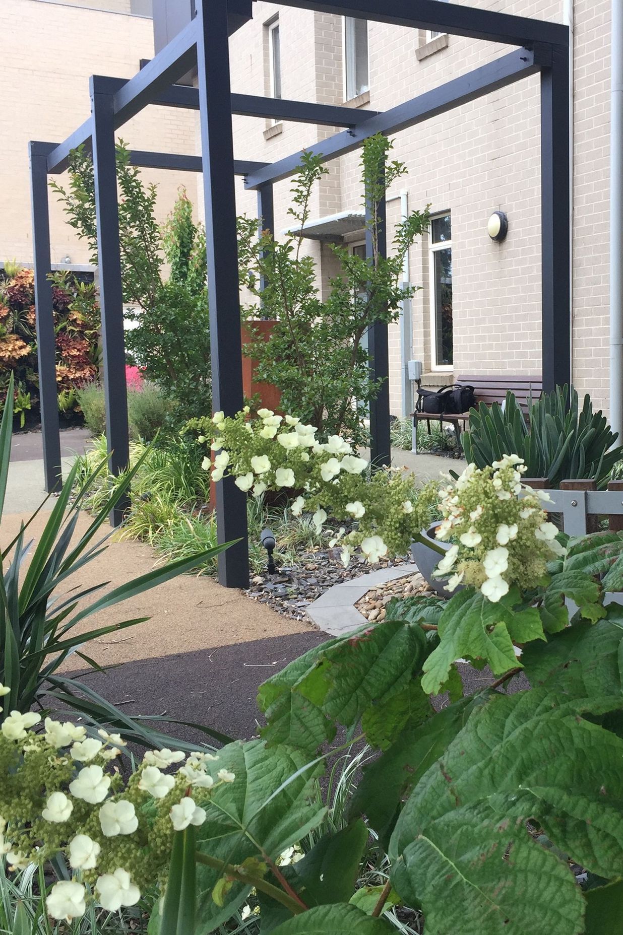 Photography: Kelly Royle Landscape Architecture