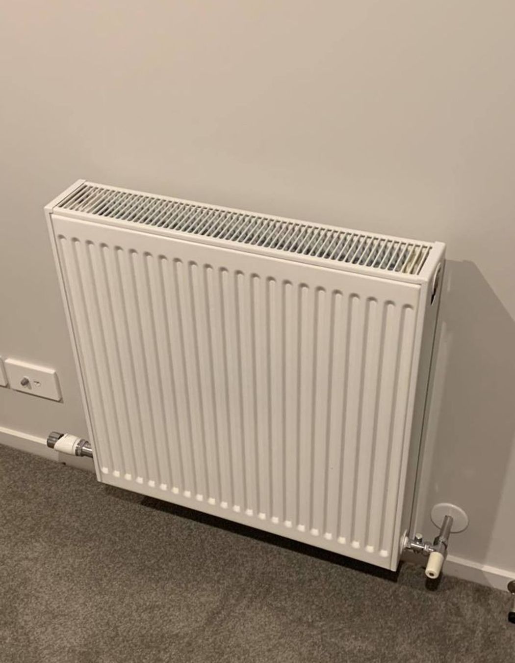 Clarks Beach - Sleepout