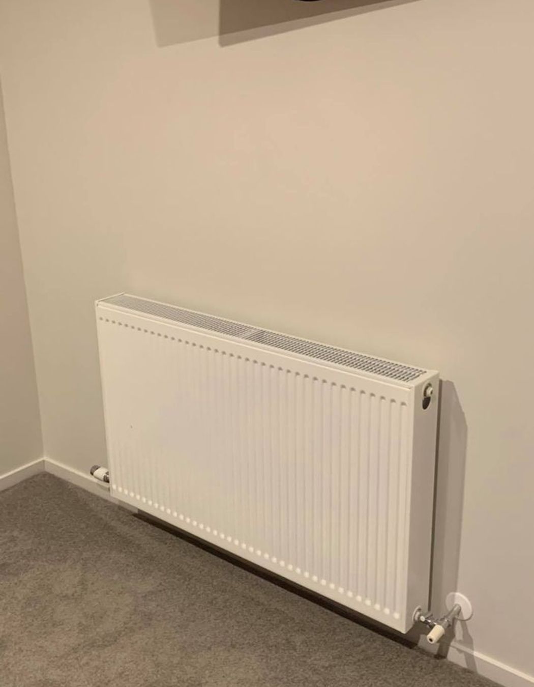 Clarks Beach - Sleepout