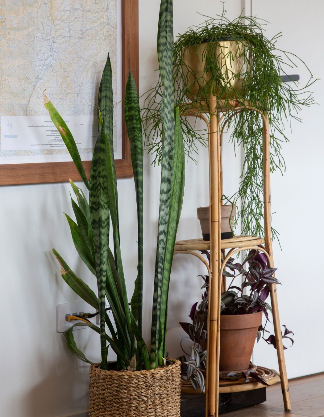 Gibbston Living | The Habitat Design Co