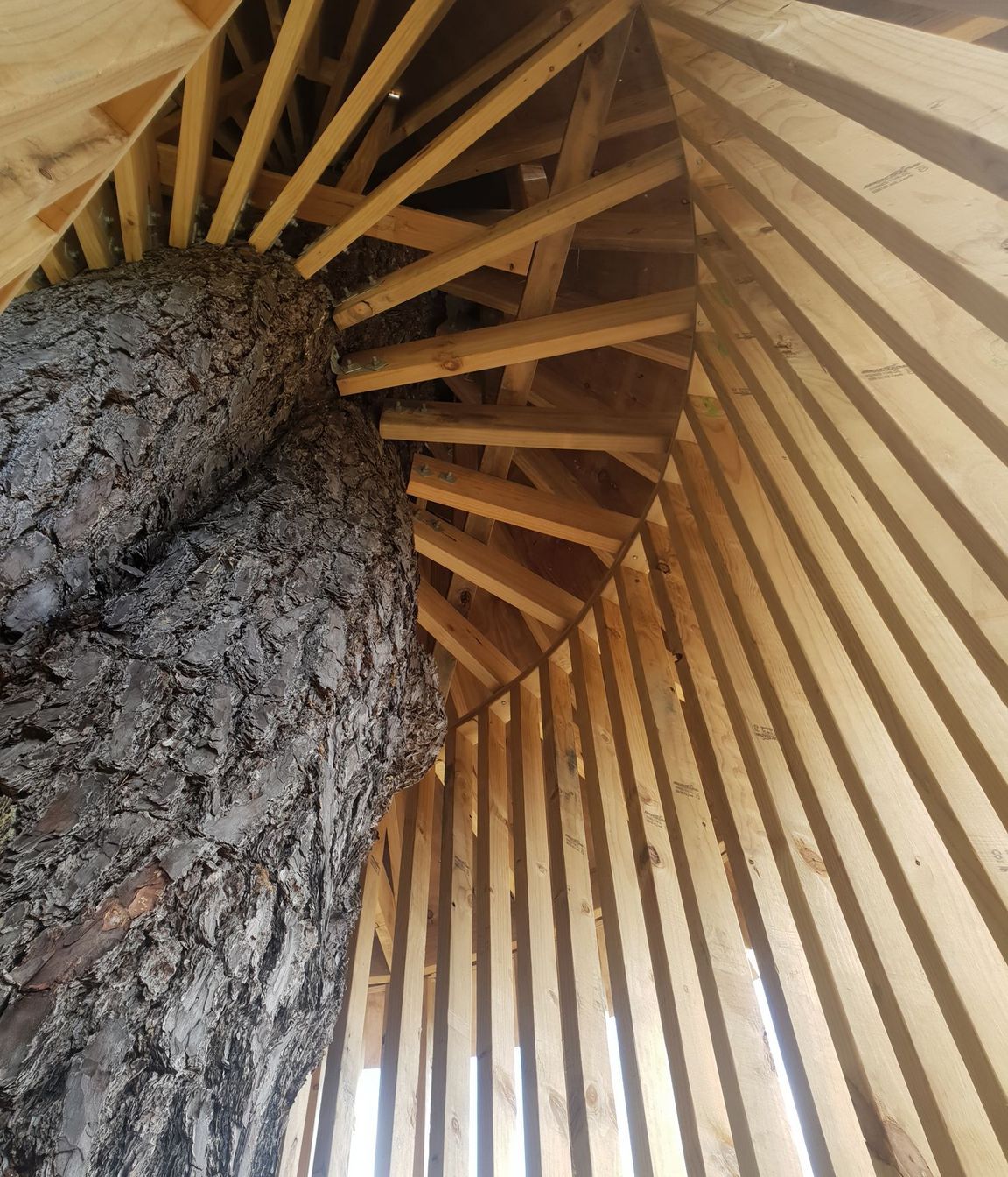 Treehouse