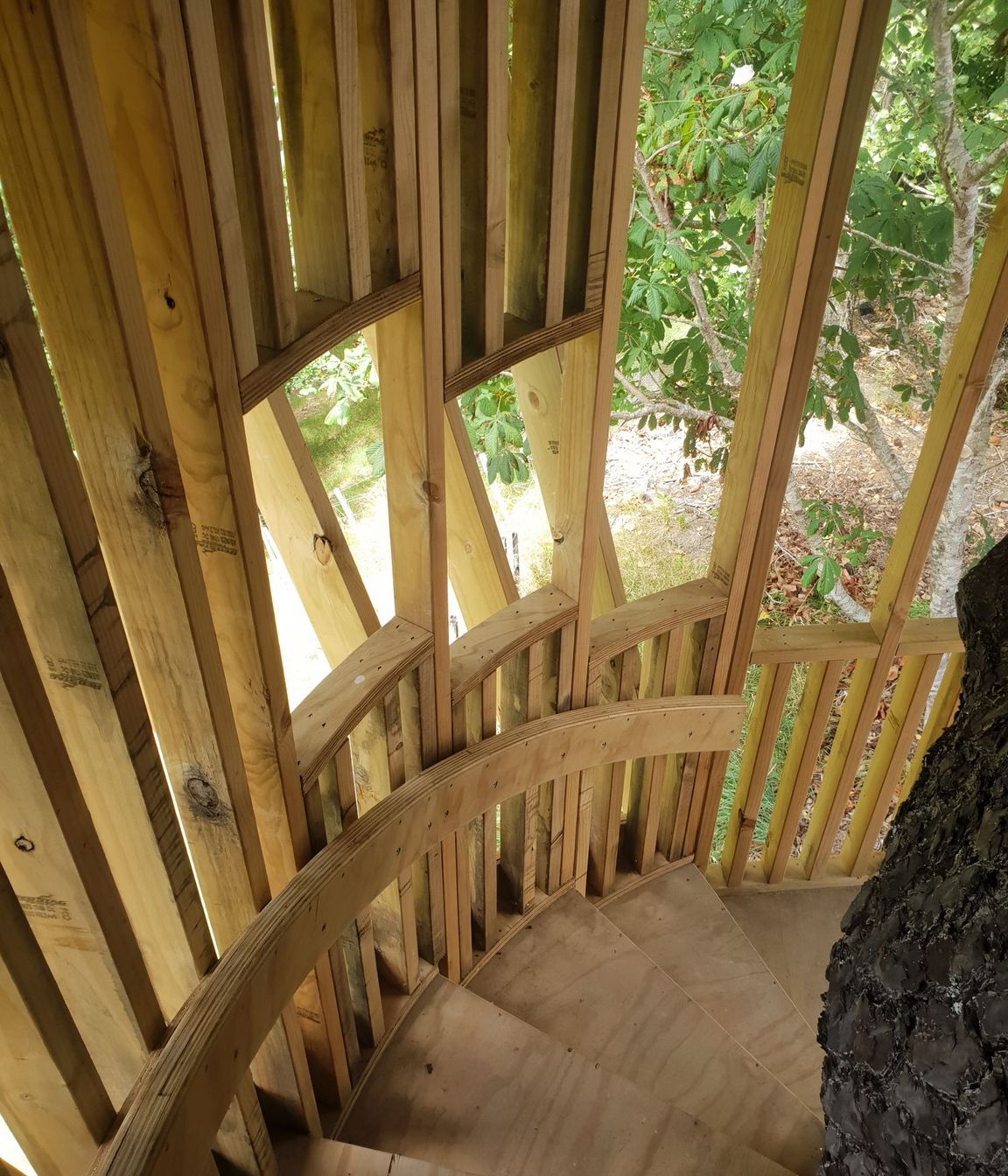 Treehouse