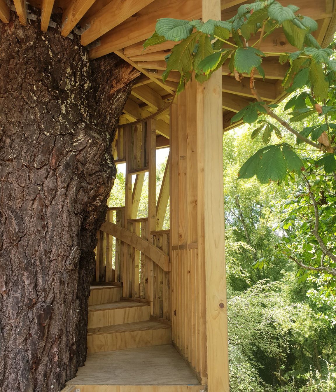 Treehouse