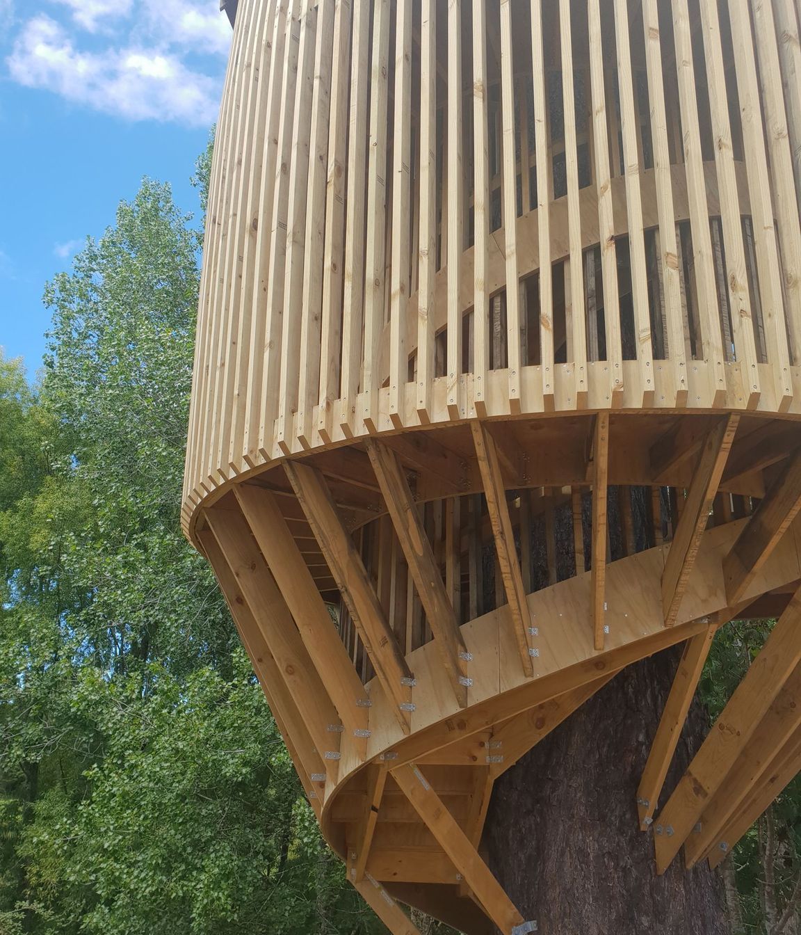 Treehouse