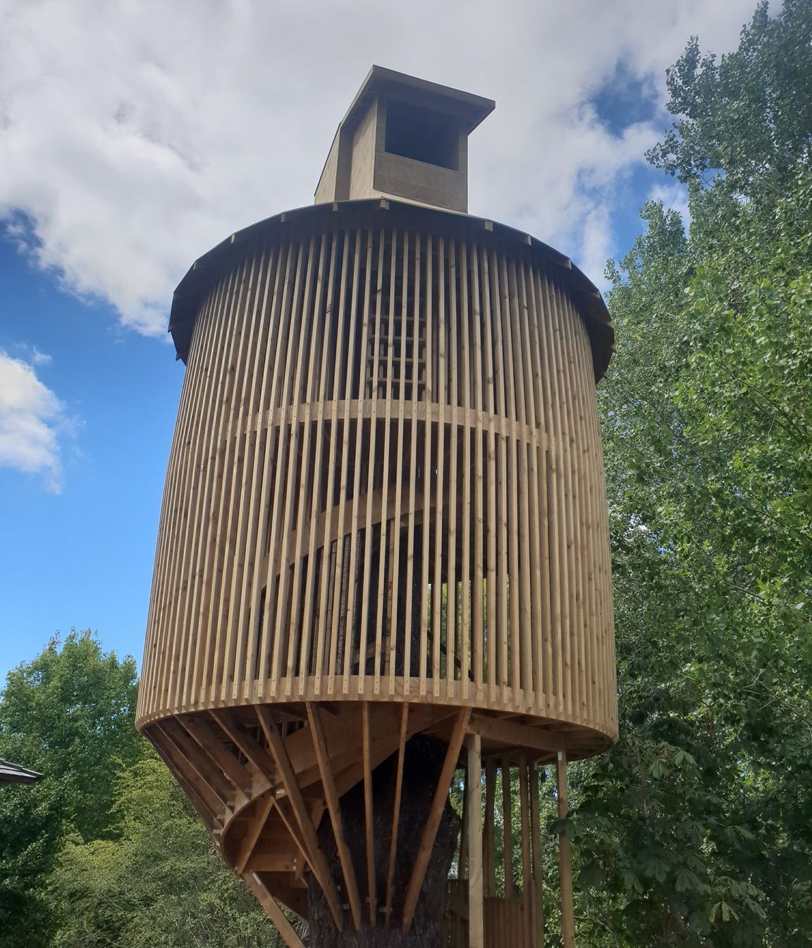 Treehouse