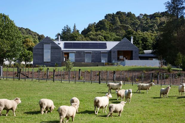 A single-storey rural house set in a green pastoral landscape, viewed from across a fenced paddock with sheep in the foreground. The home has dark horizontal weatherboard cladding, steep gabled roof forms, large roof-mounted solar panels, and a sheltered recessed entry or outdoor living area. Dense native-looking vegetation and wooded hills form the backdrop.