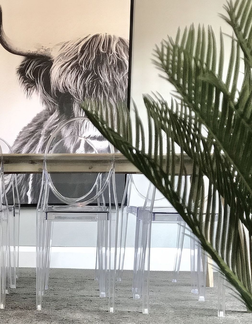 Property Styling Highland Cow Artwork