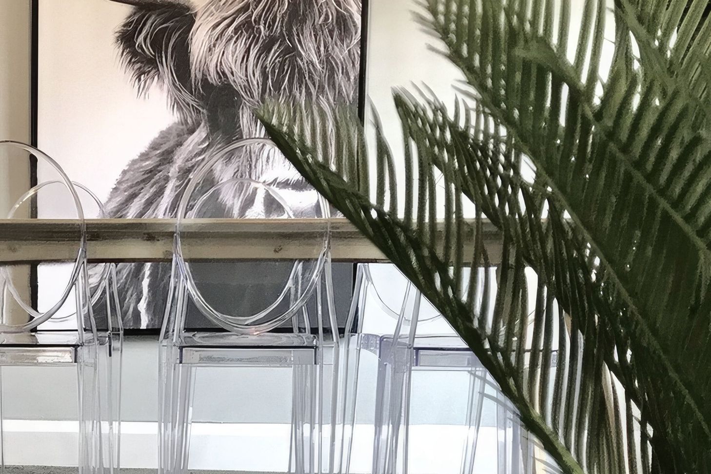 Property Styling Highland Cow Artwork