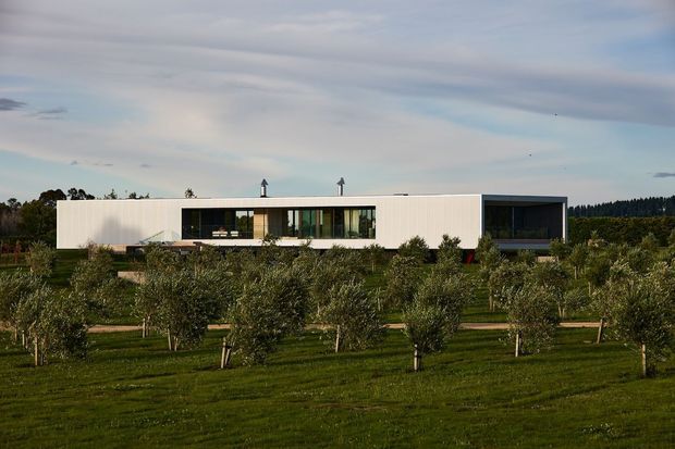 A long, low-slung modern white house set within a landscaped orchard or rural property. The building has a rectilinear flat-roof form, extensive dark-framed glazing, a recessed darker volume at the right end, and restrained minimalist detailing. Rows of trees and lawn occupy the foreground, with a broad overcast sky beyond.
