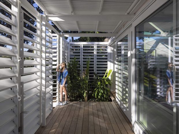 A bright, narrow outdoor deck or terrace enclosed by white horizontal louvred privacy screens, with timber decking, glazed doors and windows along the building, and integrated planting. The covered pergola-like ceiling creates a sheltered outdoor corridor and the louvres provide filtered light and privacy.