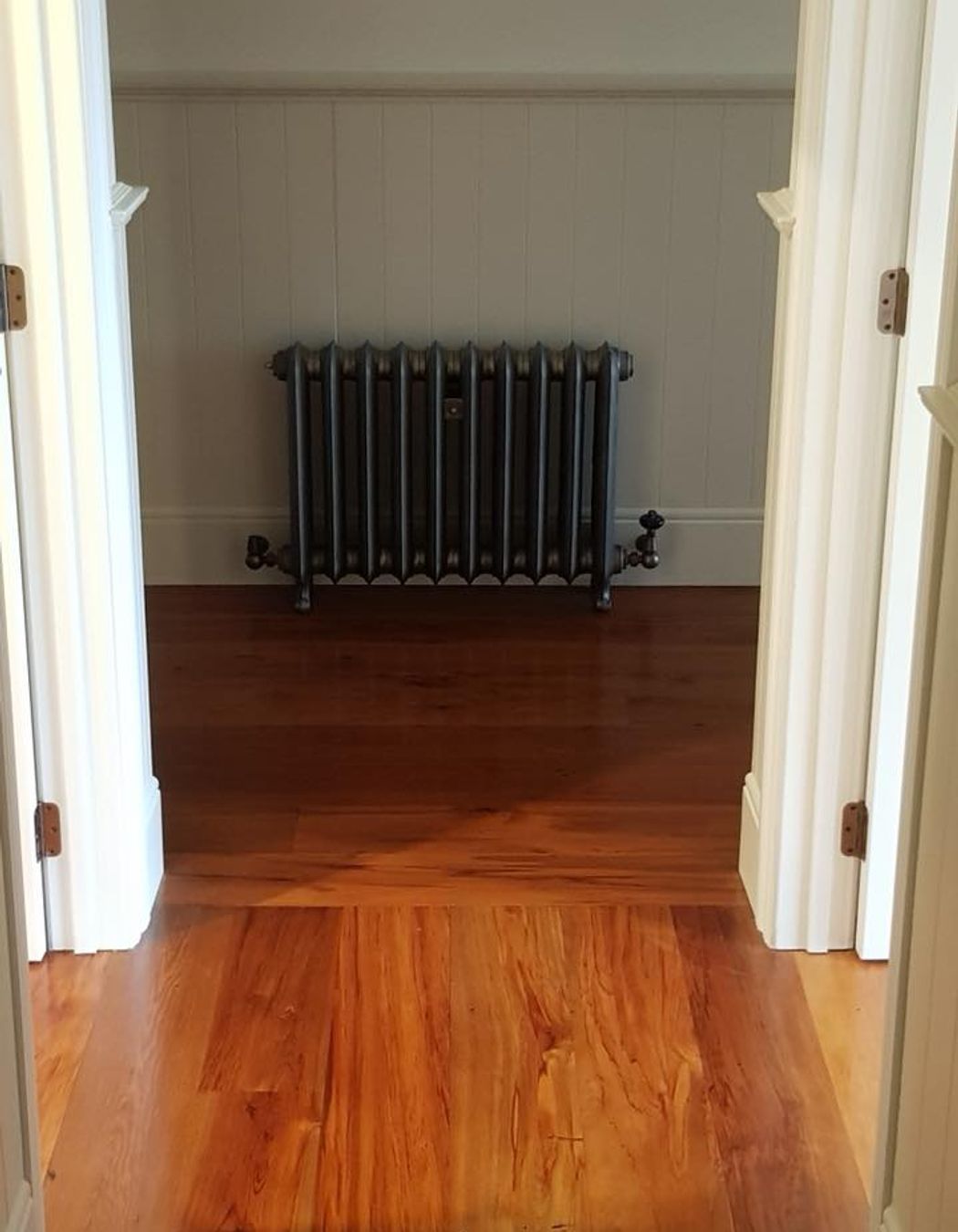 Wanaka Home - Paladin Radiators