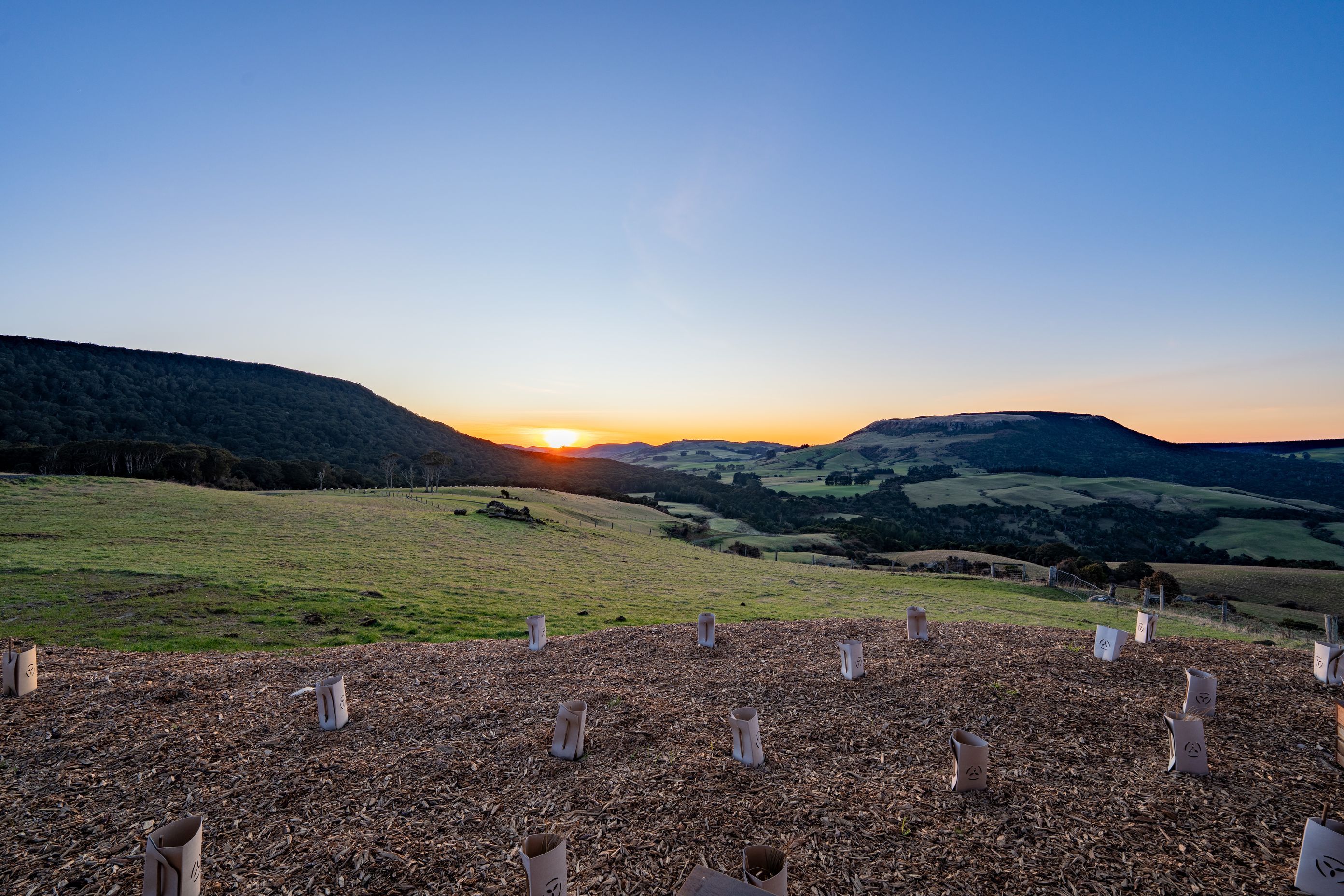 Beresford-RiseOwakaNatwick-104.jpg