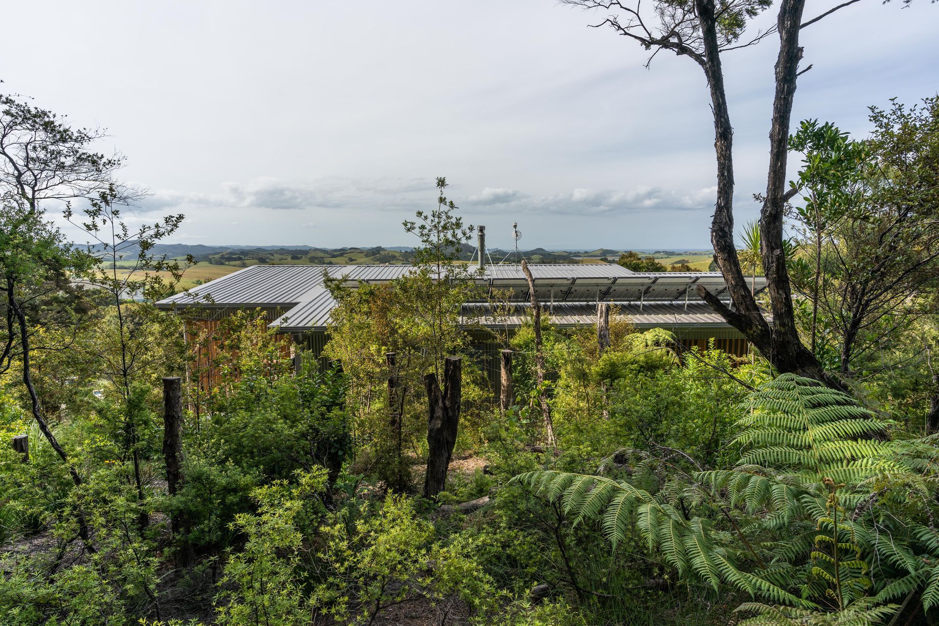 Gijs & Nicky’s House, Kauri Mountain, Whangarei Heads