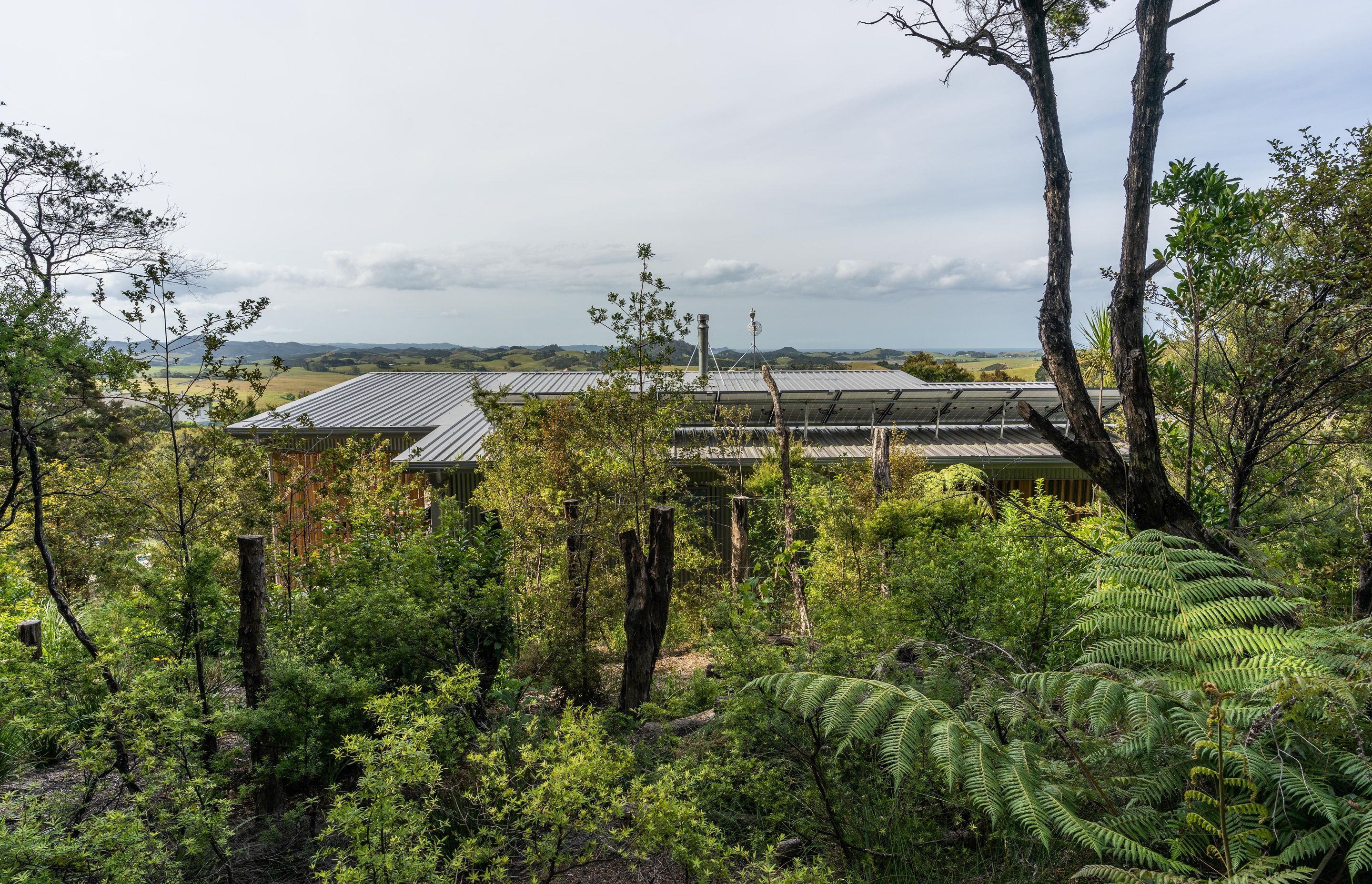 Gijs & Nicky’s House, Kauri Mountain, Whangarei Heads