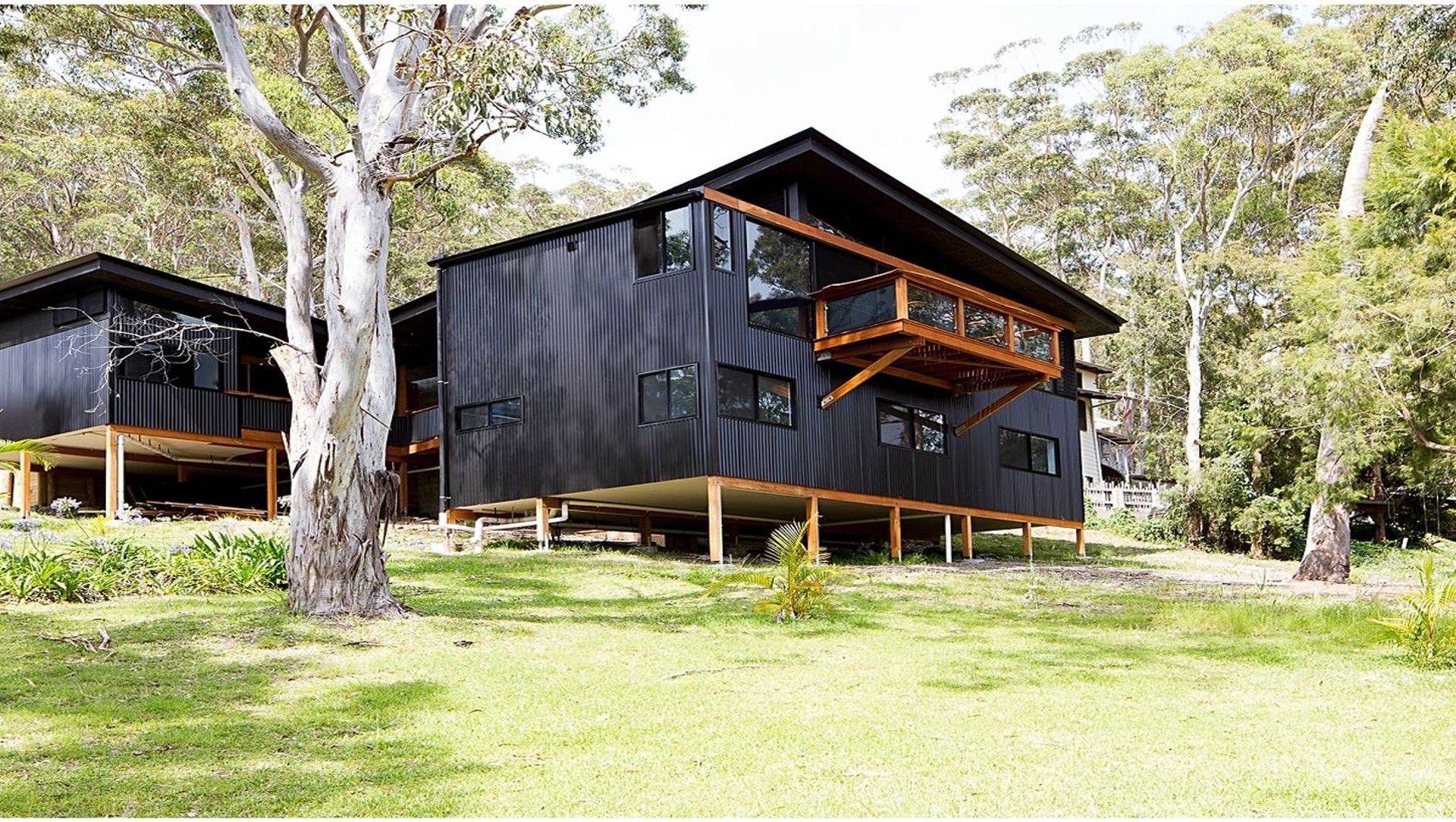 Lizzie Treehouse banner