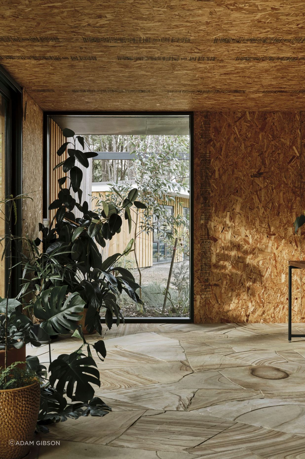Casa Acton