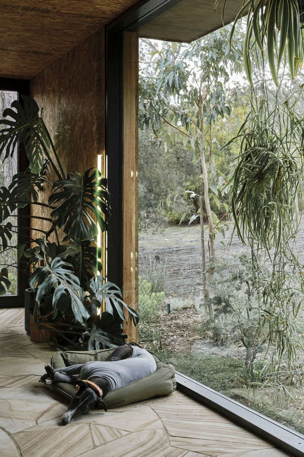 Casa Acton