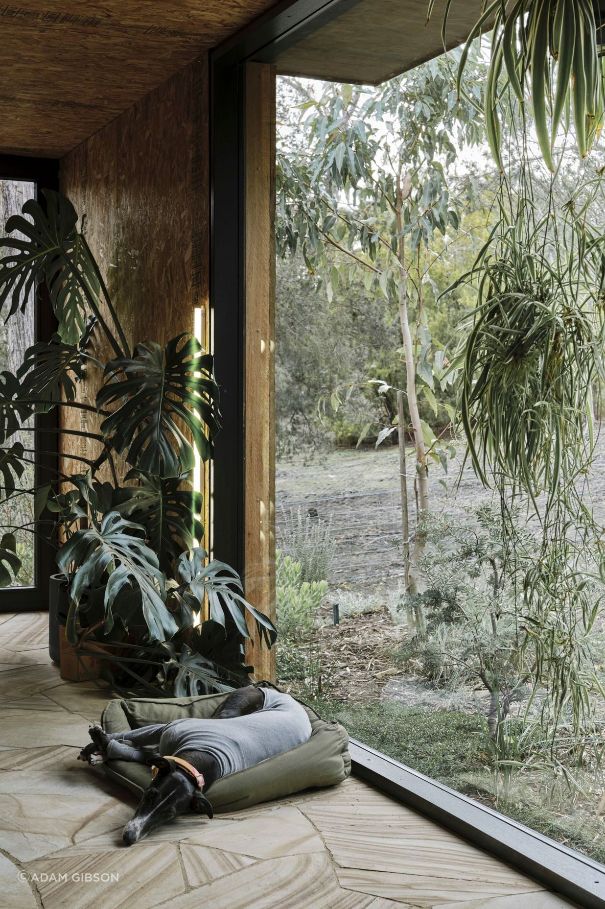 Casa Acton