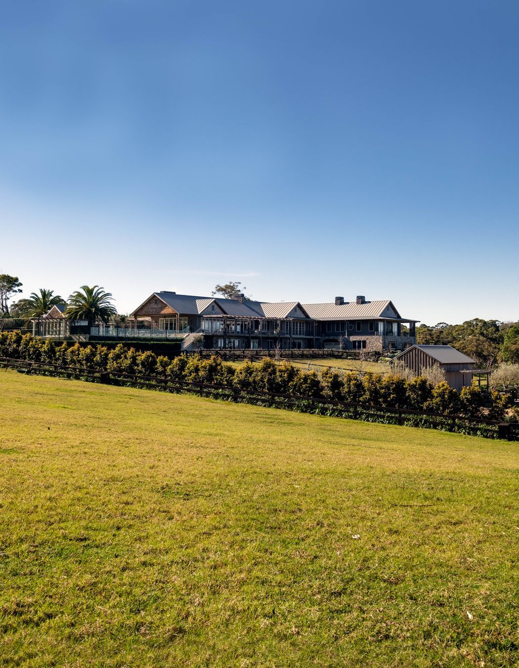 Snap-line 45® - Cadence & Co