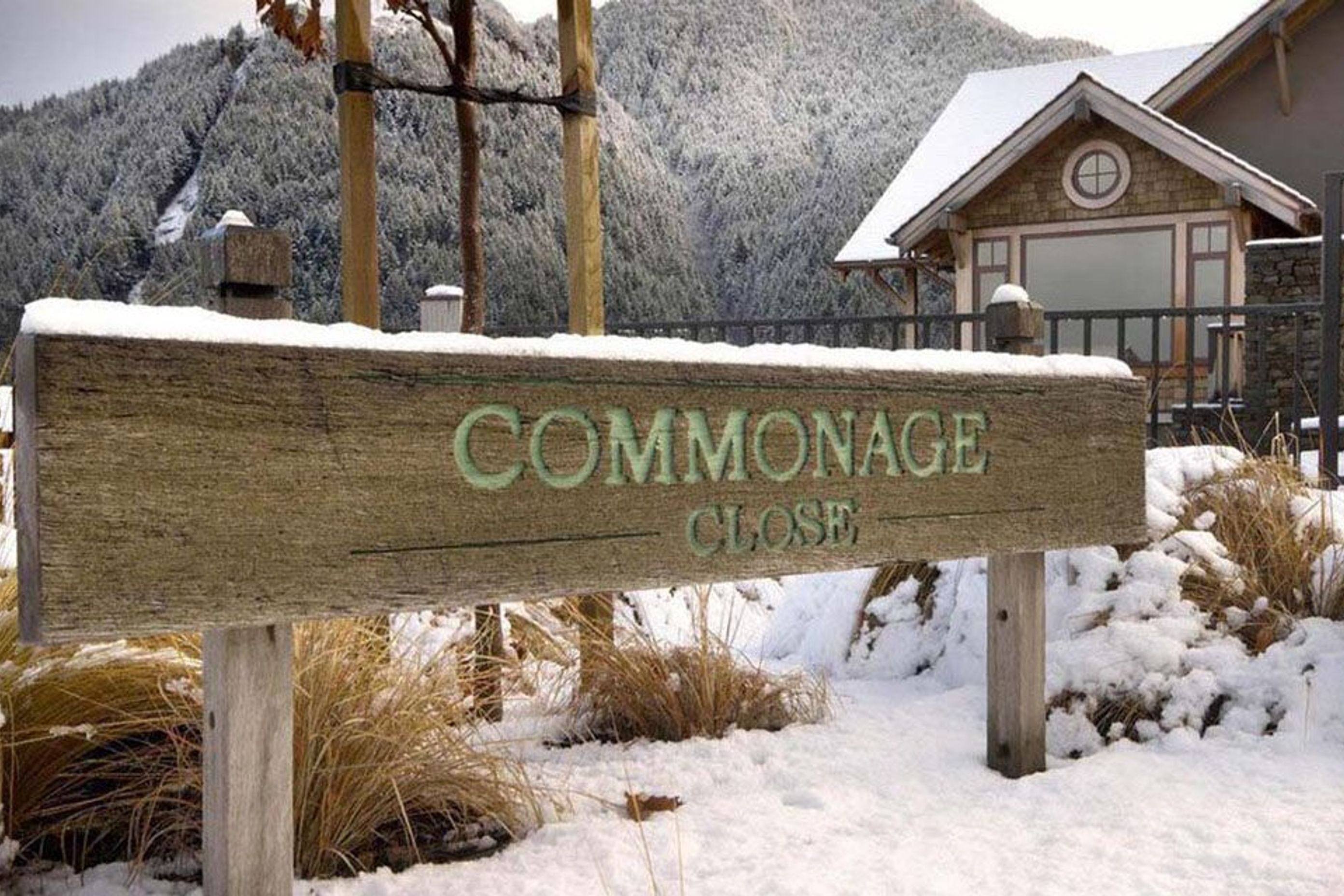 Commonage