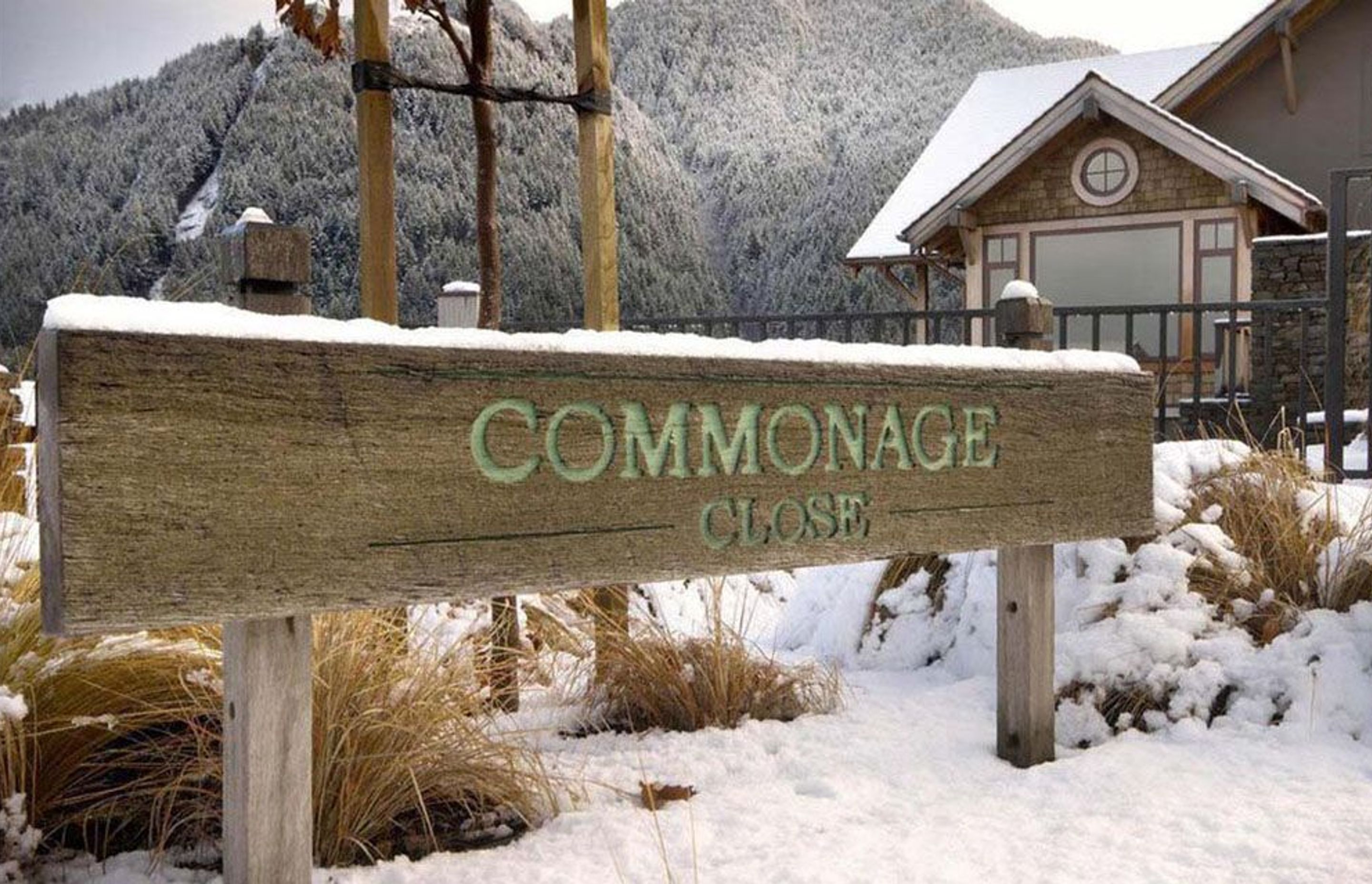 Commonage