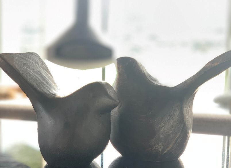 Dovecoat