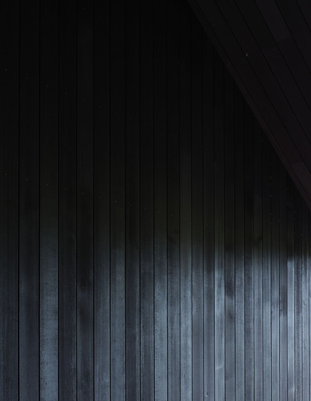 DSF2164web.jpg