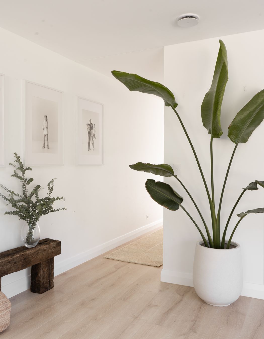 FX-OLIVEGROVEHOME28.jpg
