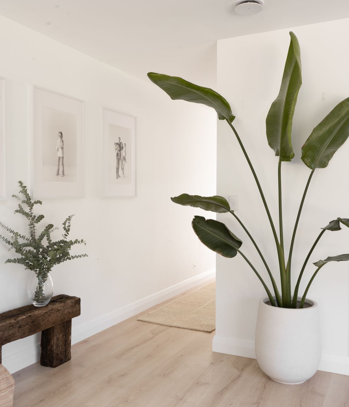 FX-OLIVEGROVEHOME28.jpg