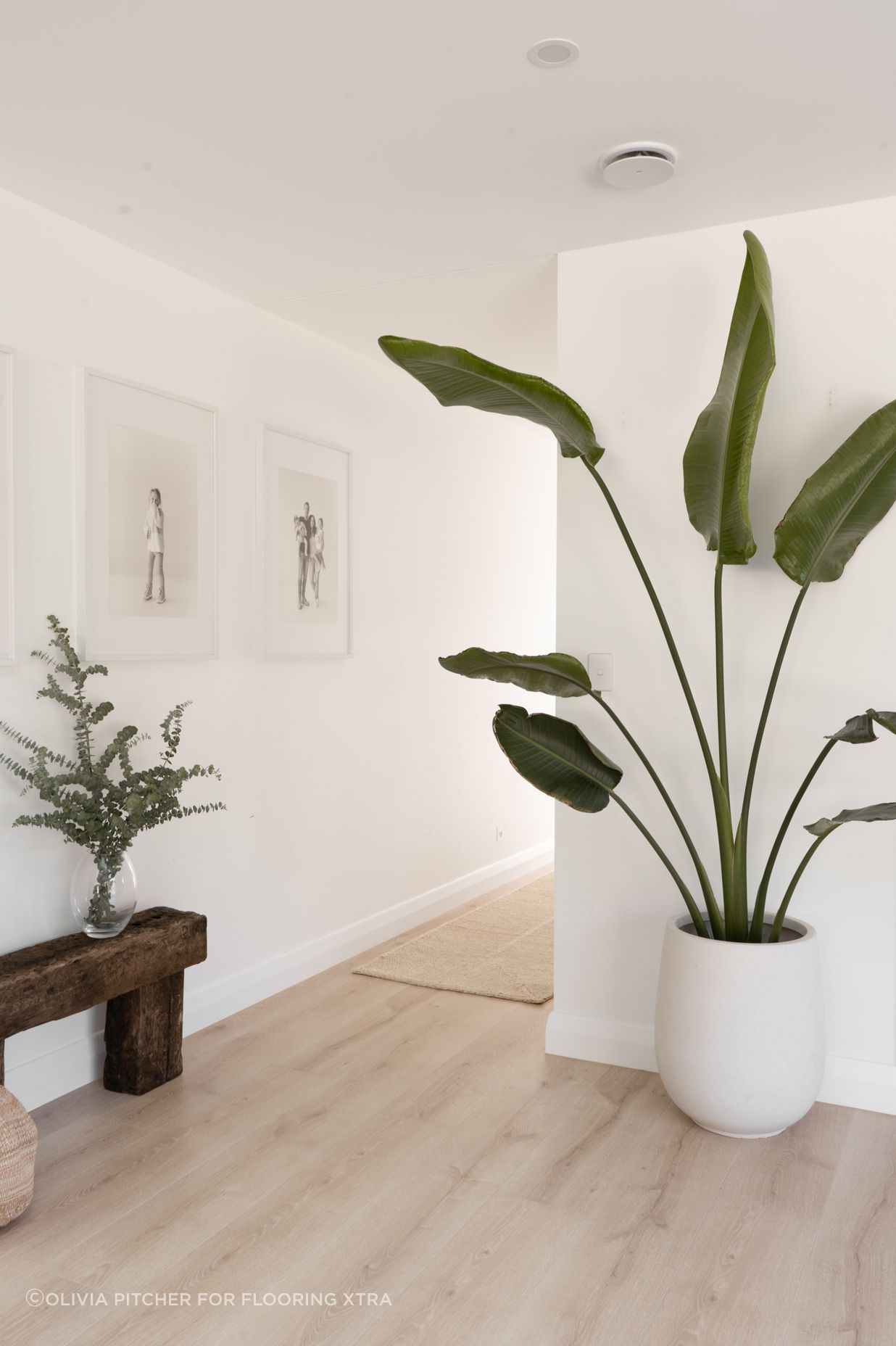 FX-OLIVEGROVEHOME28.jpg