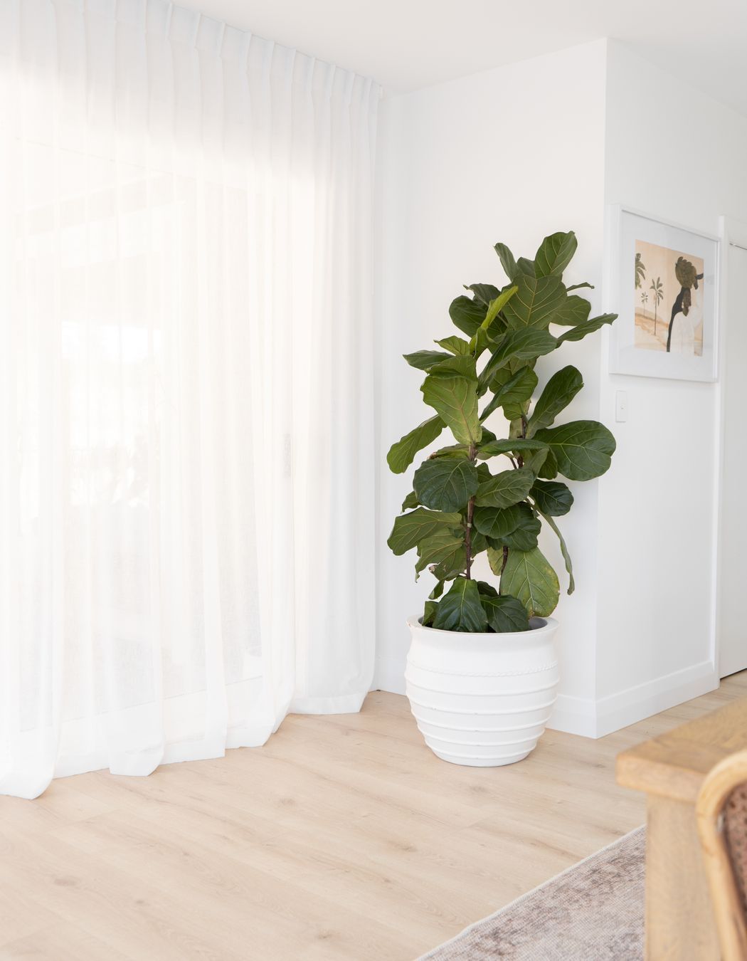 FX-OLIVEGROVEHOME38.jpg